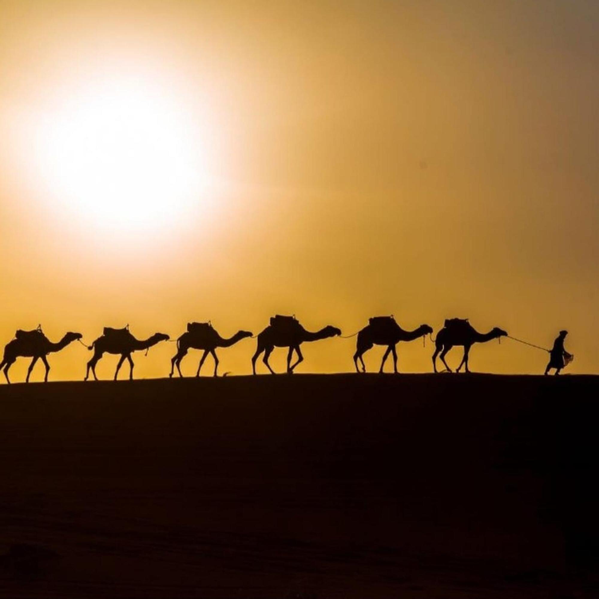Hotel Unique Sahara Camp à Merzouga Extérieur photo