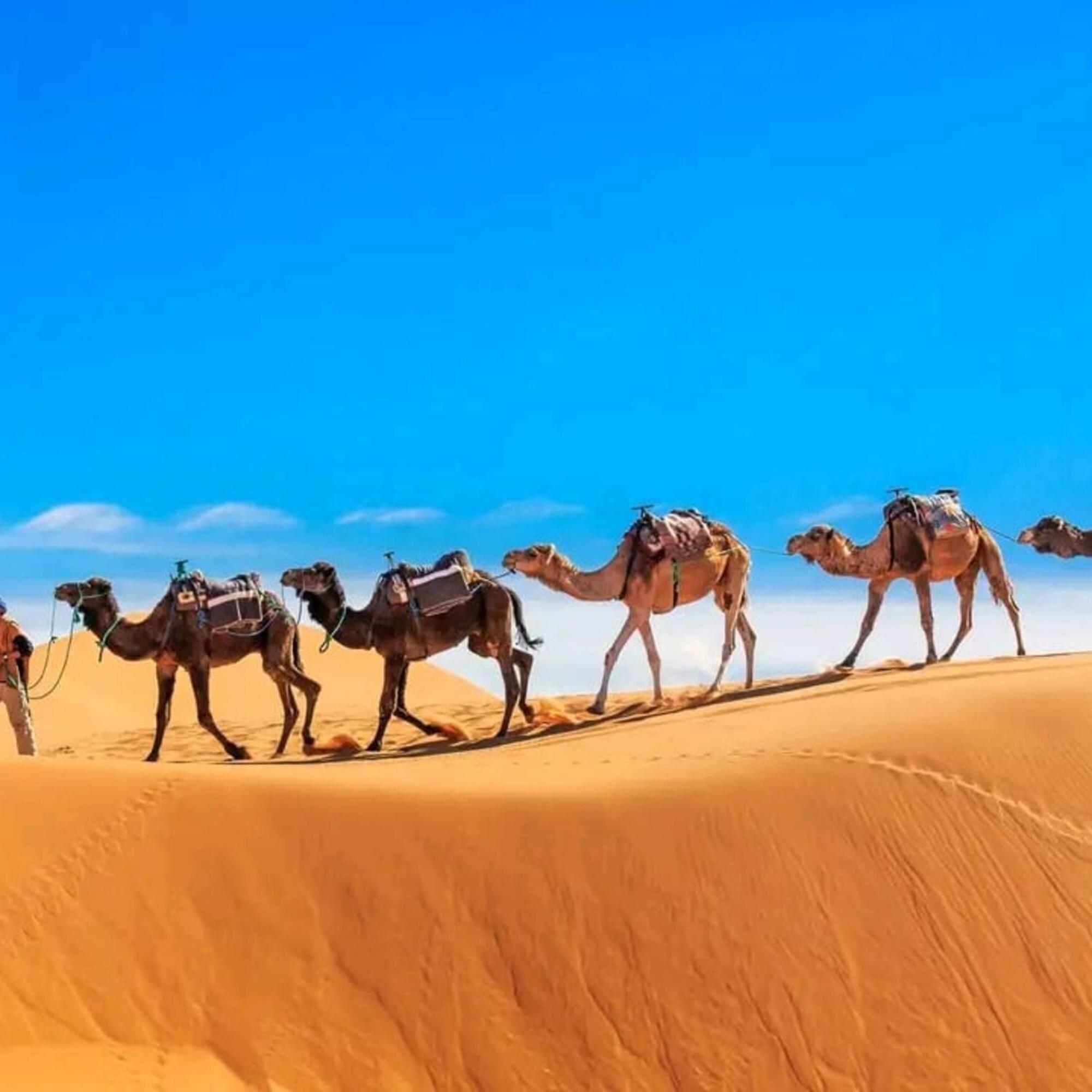 Hotel Unique Sahara Camp à Merzouga Extérieur photo